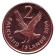 Монета 2 пенса. 2004 год, Фолклендские острова. UNC. Магелланов гусь. Монета 2 пенса. 2004 год, Фолклендские острова. UNC. Магелланов гусь.