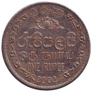 Монета 1 рупия. 2002 год, Шри-Ланка. Монета 1 рупия. 2002 год, Шри-Ланка.