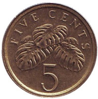 Монстера деликатесная. Монета 5 центов. 2003 год, Сингапур.