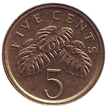 Монета 5 центов. 2003 год, Сингапур. Монстера деликатесная.
