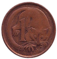 Монета 1 цент, 1988 год, Австралия. Карликовый летучий кускус. Монета 1 цент, 1988 год, Австралия. Карликовый летучий кускус.