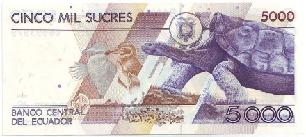 5000-2ud.jpg 5000-2ud.jpg