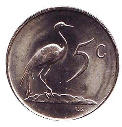 Монета 5 центов. 1983 год, Южная Африка. UNC. Африканская красавка.