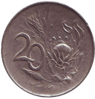 Монета 20 центов. 1965 год, ЮАР. (Suid Africa). Цветок протея. Монета 20 центов. 1965 год, ЮАР. (Suid Africa). Цветок протея.