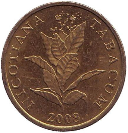 Монета 10 лип. 2008 год, Хорватия. Табак.