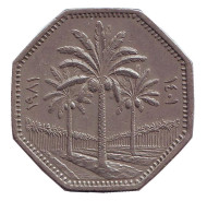 Монета 250 филсов. 1981 год, Ирак. Пальмовые деревья. Монета 250 филсов. 1981 год, Ирак. Пальмовые деревья.