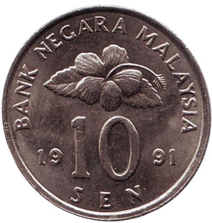 1991-1bd.jpg