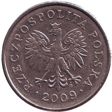 Монета 1 злотый. 2009 год, Польша. Монета 1 злотый. 2009 год, Польша.