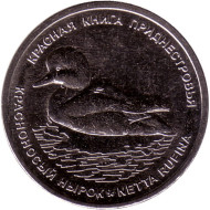 Монета 1 рубль. 2023 год, Приднестровье. Красноносый нырок. Красная книга Приднестровья. Монета 1 рубль. 2023 год, Приднестровье. Красноносый нырок. Красная книга Приднестровья.