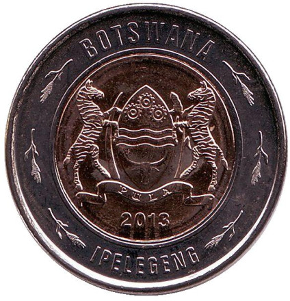 2pula-2.jpg 2pula-2.jpg