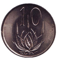 Монета 10 центов. 1983 год, Южная Африка. UNC. Алоэ. Монета 10 центов. 1983 год, Южная Африка. UNC. Алоэ.
