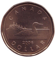 Монета 1 доллар, 2006 год, Канада. Утка. Монета 1 доллар, 2006 год, Канада. Утка.