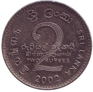 Монета 2 рупии. 2002 год, Шри-Ланка. Монета 2 рупии. 2002 год, Шри-Ланка.