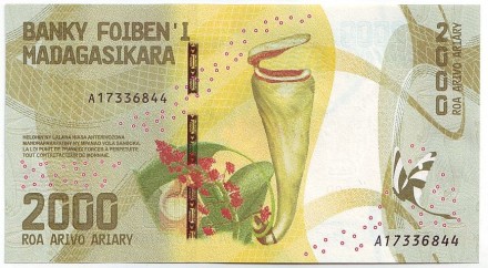 Банкнота 2000 ариари. 2017 год, Мадагаскар. Лемур.