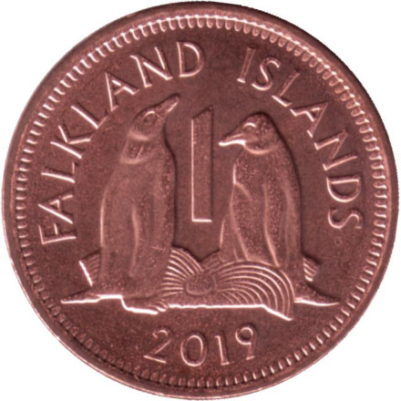 Монета 1 пенни. 2019 год, Фолклендские острова. Субантарктические пингвины.