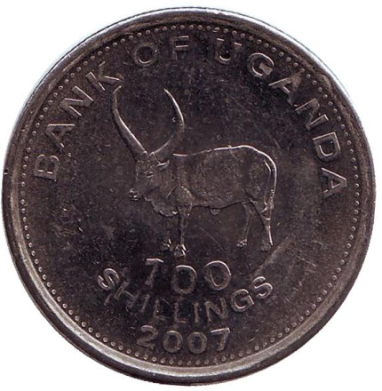 Монета 100 шиллингов. 2007 год, Уганда. (магнитные) Африканский бык.