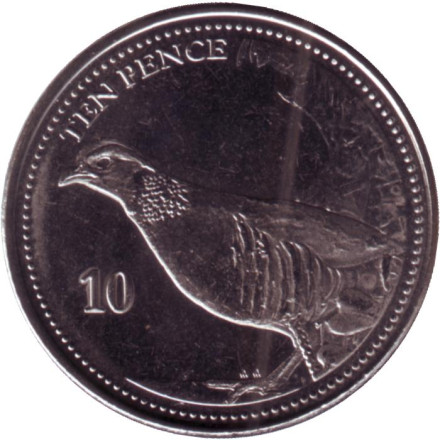 Монета 10 пенсов. 2020 год, Гибралтар. Куропатка.