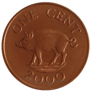 Монета 1 цент. 2000 год, Бермудские острова. Поросенок.