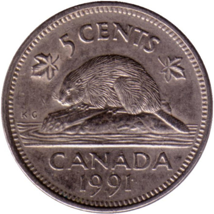 Монета 5 центов. 1991 год, Канада. Бобр.