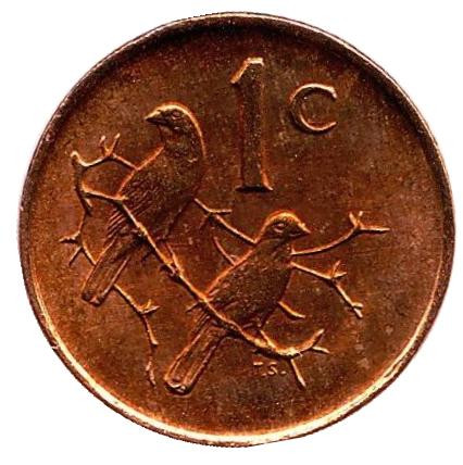 Монета 1 цент. 1983 год, ЮАР. UNC. Воробьи.