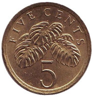 Монета 5 центов. 1990 год, Сингапур. Монстера деликатесная. Монета 5 центов. 1990 год, Сингапур. Монстера деликатесная.
