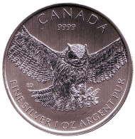 Монета 5 долларов. 2015 год, Канада. Сова.