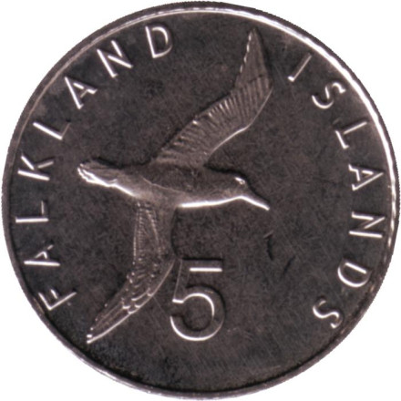 Монета 5 пенсов. 2019 год, Фолклендские острова. Чернобровый альбатрос.