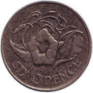 Монета 6 пенсов. 1964 год, Замбия. Вьюнок пурпурный.