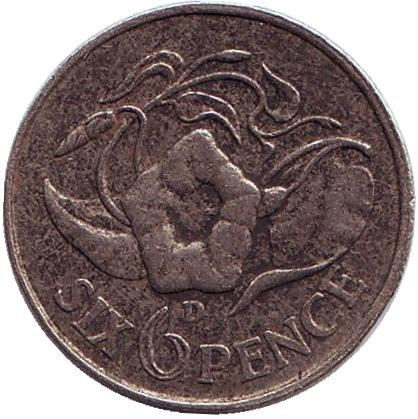 Монета 6 пенсов. 1964 год, Замбия. Вьюнок пурпурный.
