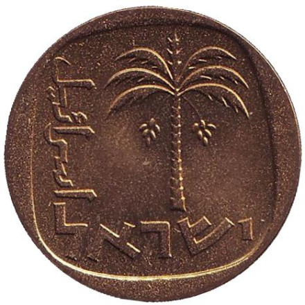 Монета 10 агор. 1966 год, Израиль. UNC. Пальма.