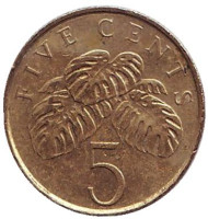 Монета 5 центов. 1995 год, Сингапур. Монстера деликатесная. Монета 5 центов. 1995 год, Сингапур. Монстера деликатесная.