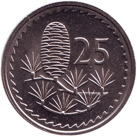 Монета 25 миллей. 1981 год. Кипр. aUNC. Ливанский кедр.