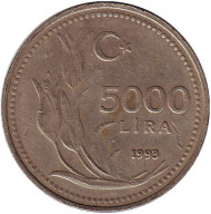 Монета 5000 лир. 1993 год, Турция. Монета 5000 лир. 1993 год, Турция.
