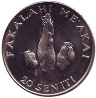 Монета 20 сенити. 2002 год, Тонга. Три клубня батата. Монета 20 сенити. 2002 год, Тонга. Три клубня батата.
