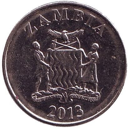 Монета 5 нгве. 2013 год, Замбия. Замбезийская вдовушка.