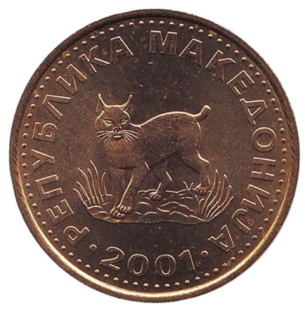 Монета 5 денаров. 2001 год, Македония. UNC. Европейская рысь.
