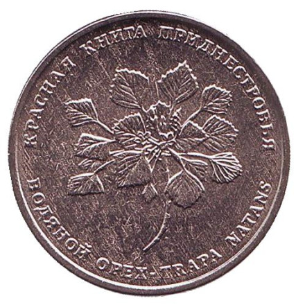 Монета 1 рубль. 2019 год, Приднестровье. Водяной орех. (Чилим).