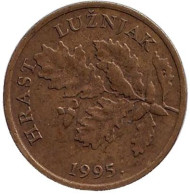 Монета 5 лип. 1995 год, Хорватия. Дуб черешчатый.