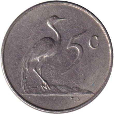 Монета 5 центов. 1966 год, Южная Африка. (Suid Afrika). Африканская красавка.