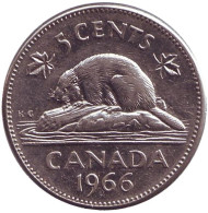 Монета 5 центов, 1966 год, Канада. Бобр.