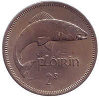 Лосось. Монета 2 шиллинга (1 флорин). 1964 год, Ирландия.