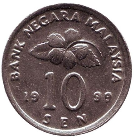 1999-1bn.jpg