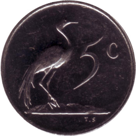 Монета 5 центов. 1980 год, Южная Африка. Proof. Африканская красавка.