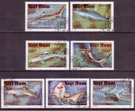 Акулы. Марки почтовые. Серия из 7 штук. 1991 год, Вьетнам.