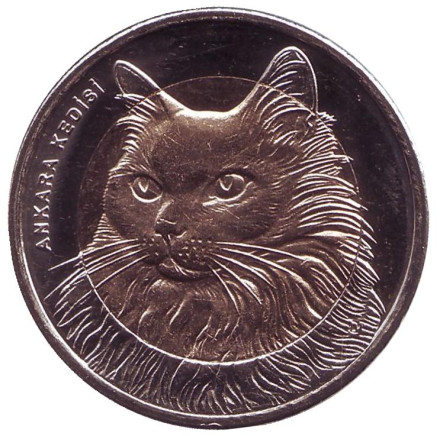 Монета 1 лира, 2010 год, Турция. Кошка.