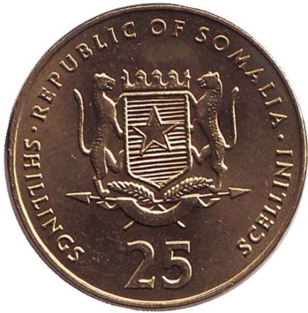 som-12.jpg som-12.jpg