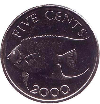 Монета 5 центов. 2000 год, Бермудские острова. UNC. Тропическая рыба (Ангел-королева).
