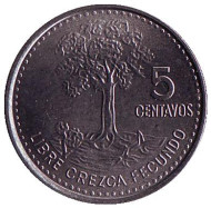 Монета 5 сентаво. 2010 год, Гватемала. Хлопковое дерево. Монета 5 сентаво. 2010 год, Гватемала. Хлопковое дерево.