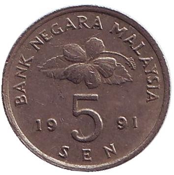 91-1vd.jpg 91-1vd.jpg