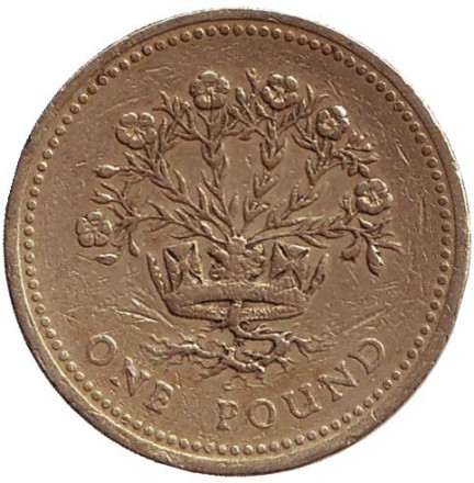 Монета 1 фунт. 1991 год, Великобритания. Растение льна и королевская диадема.